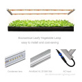 Microgreens LED wachsen leichte Innenfarm in der Innenräume